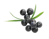 https://healthytolk.com/top-10-best-high-antioxidant-fruits/