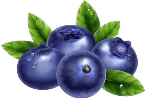 Blueberries2 Top 10 Best High Antioxidant Fruits