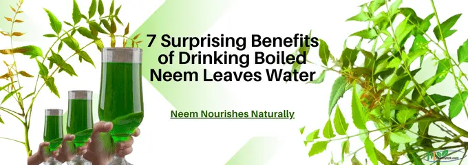 7 Surprising Benefits of Drinking Boiled Neem Leaves Water