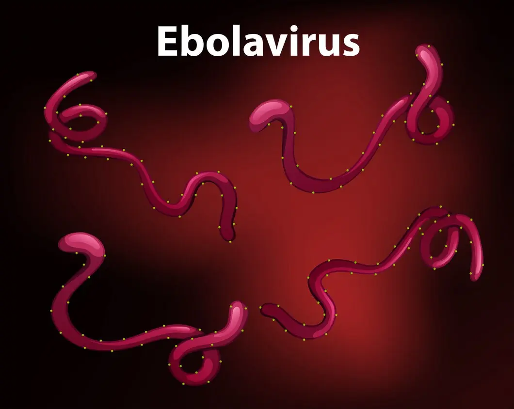 Chinese Scientists Create Mutant Ebola Virus