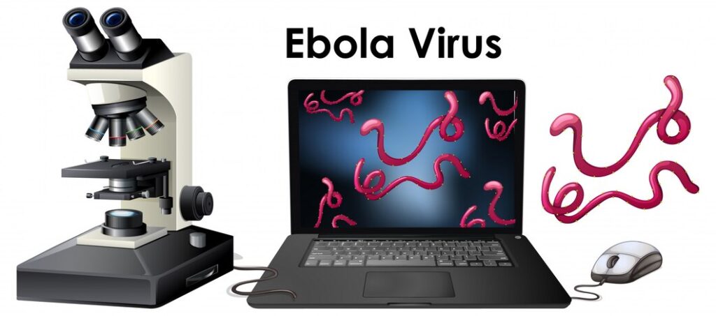 object virus ebola 1308 33604 Chinese Scientists Create Mutant Ebola Virus: What You Need to Know 2024