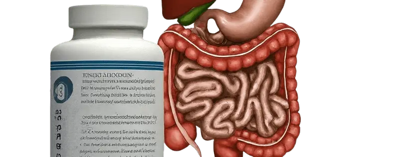 GUT supp 10 Awesome Superfoods for Gut Health