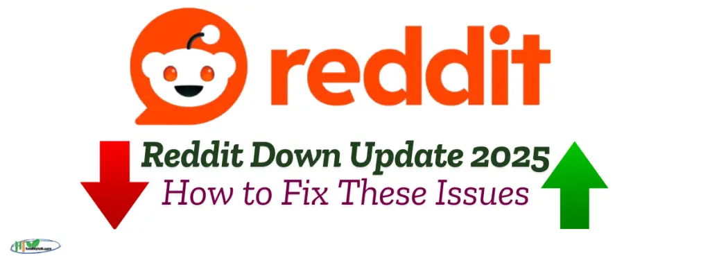 Reddit Down Update 2025: How to Fix These Issues