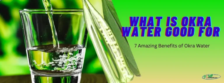 What is Okra Water Good For: 7 Amazing Benefits of Okra Water